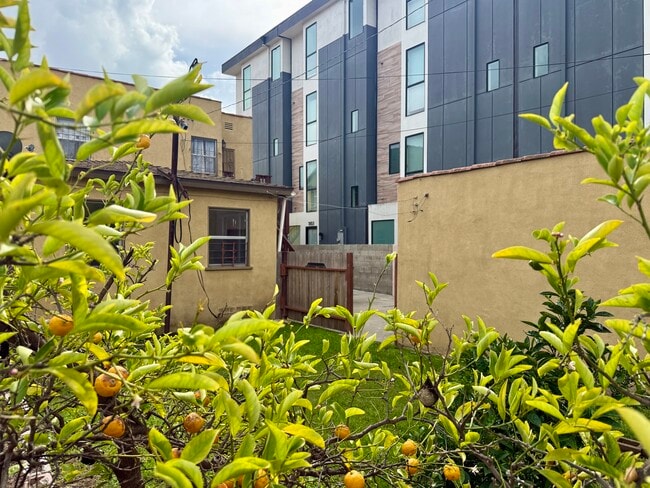 Photo - 1807 S Redondo Blvd Unit Lower