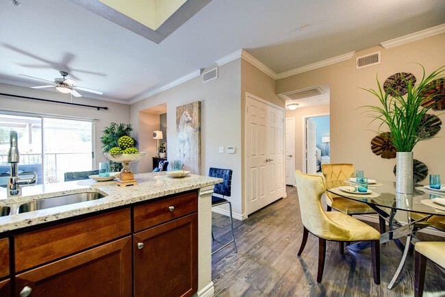 Callista Hill Country Apartments