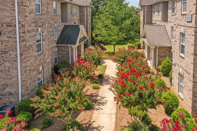 The Phoenix Apartments