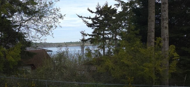 Photo - Diamond Point Gem