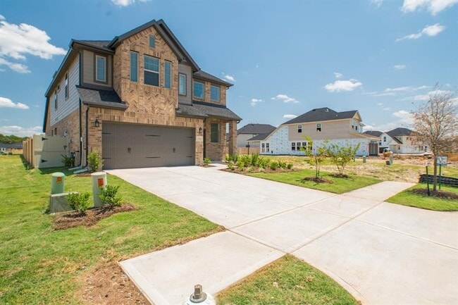 Photo - 17723 Tree of Heaven