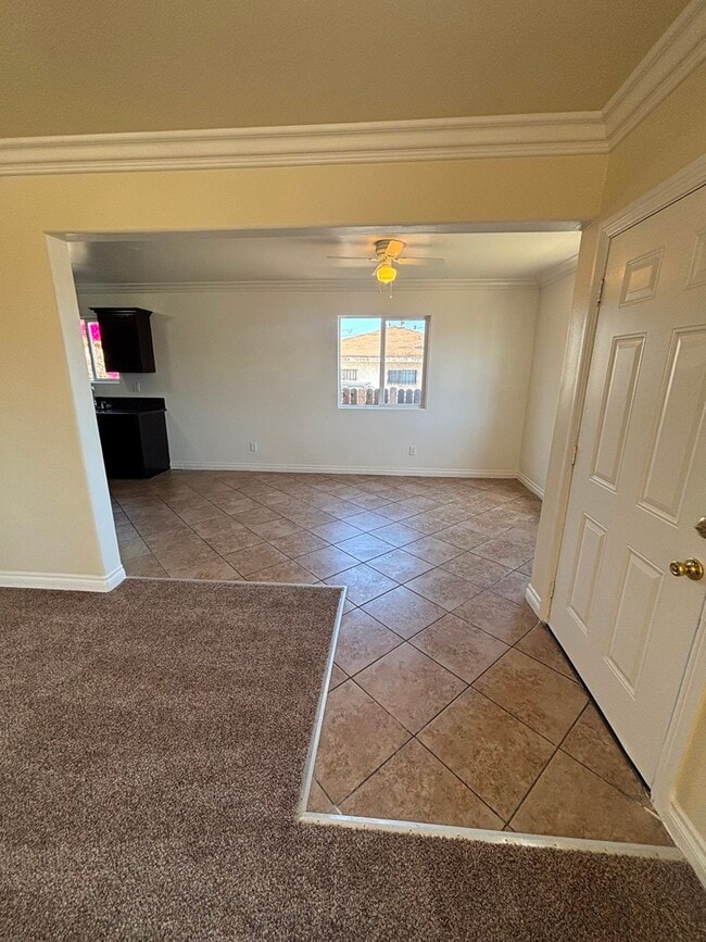 Photo - 251 E 118th Pl