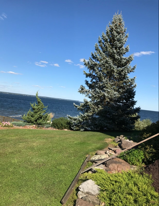 Photo - 6883C Deluxe Park