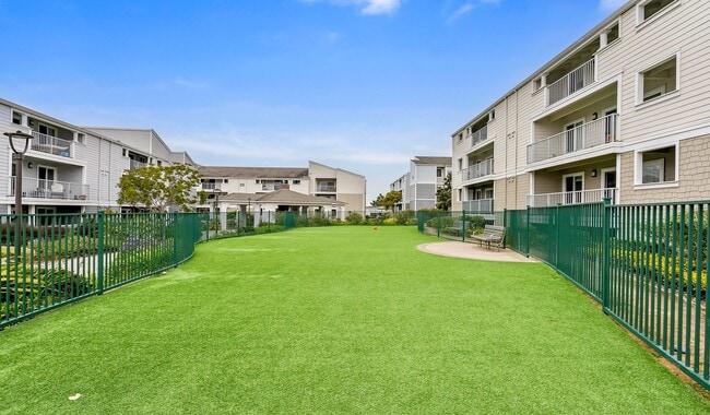Our pet-friendly community offers a grassy park for your dog to play
