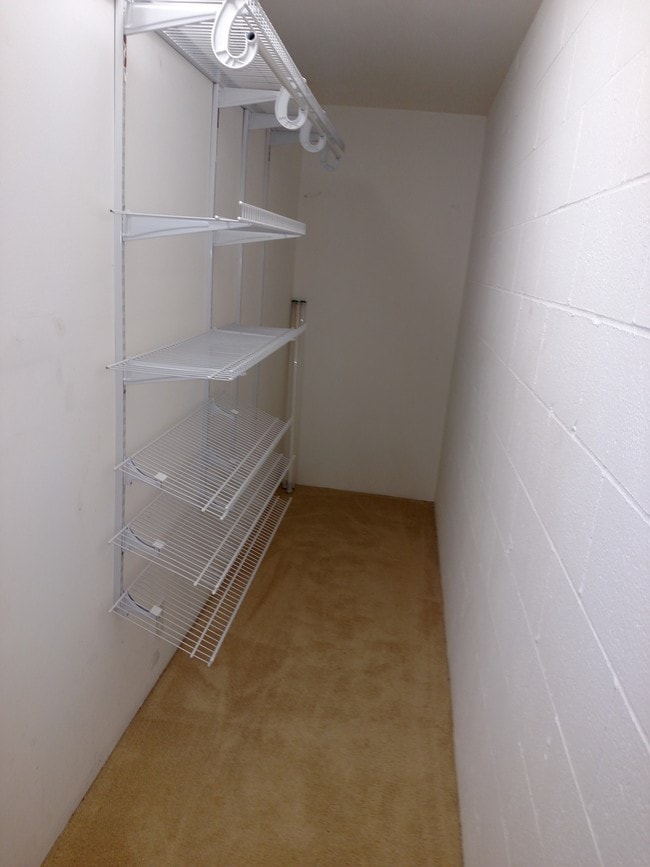 2 huge closets