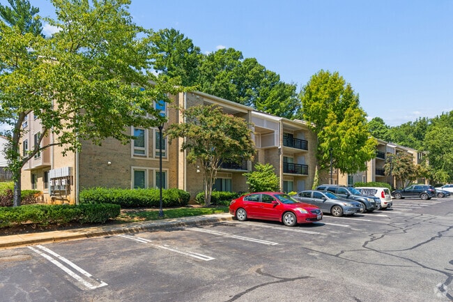 Amber Commons