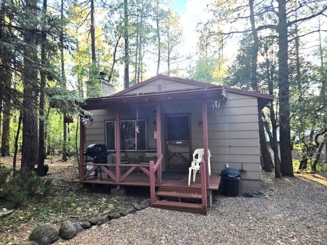 Cabin #1 Outside - 165 E White Mountain Blvd