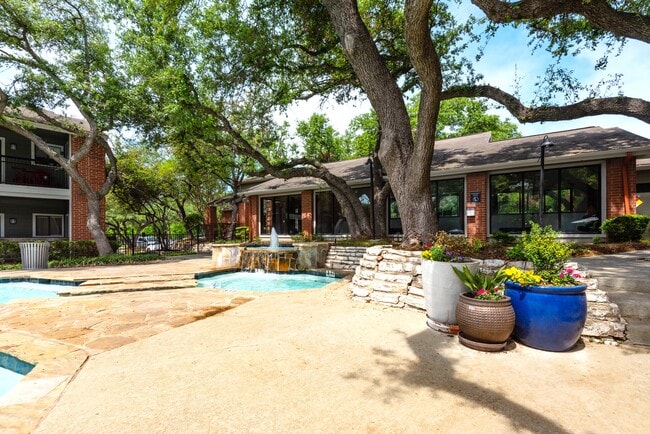 Arboretum Oaks