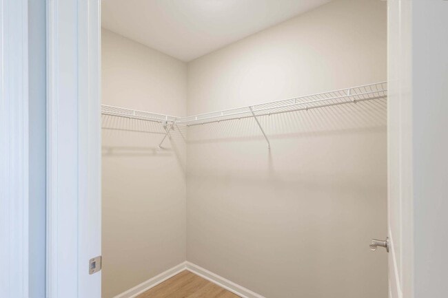 Photo - Carol Crossing