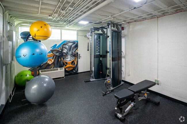 Gimnasio - Vivo Living Durham