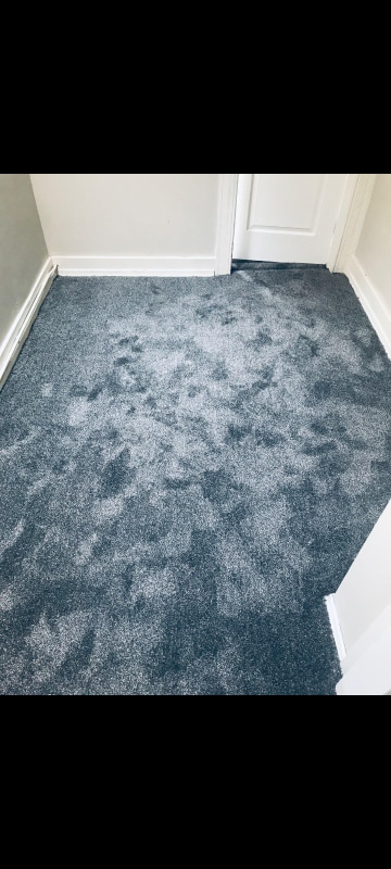 Photo - 1607 Abbotston St