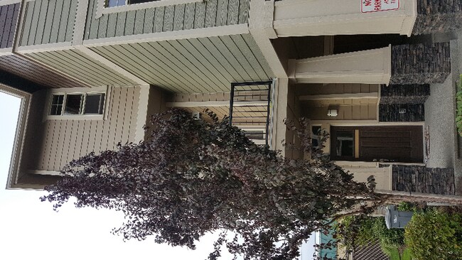 Photo - 3800 NE 3rd Pl