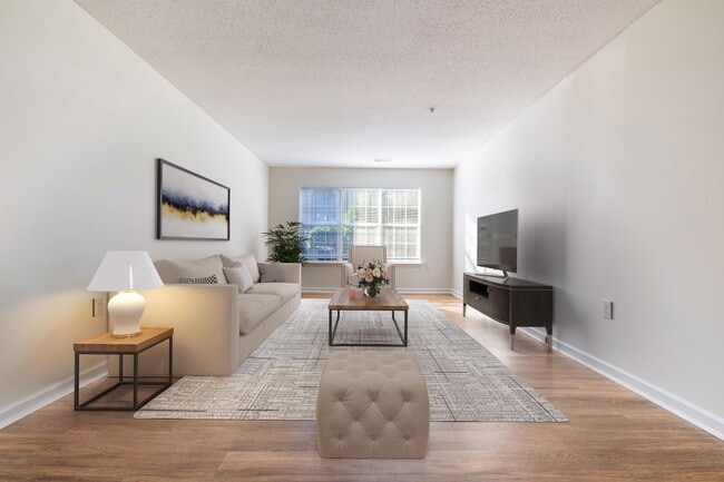 Photo - Amelia Village