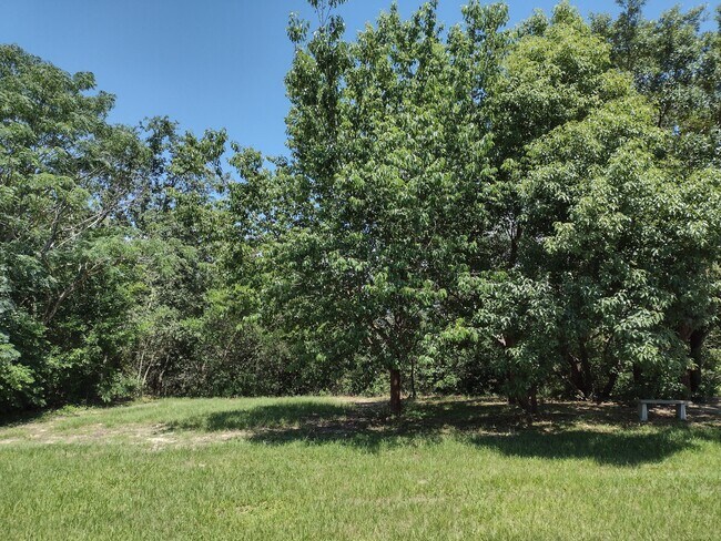 Back yard 2 - 7396 Pond Cir Unit 7396 pond circle