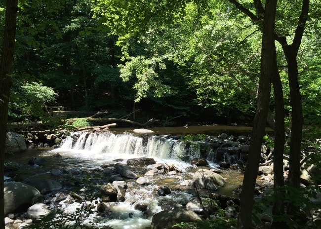 Waterfall Village