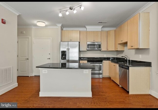 High end cabinetry, quartz countertops, stainless steel appliances - 815 N Patrick St Unit 108