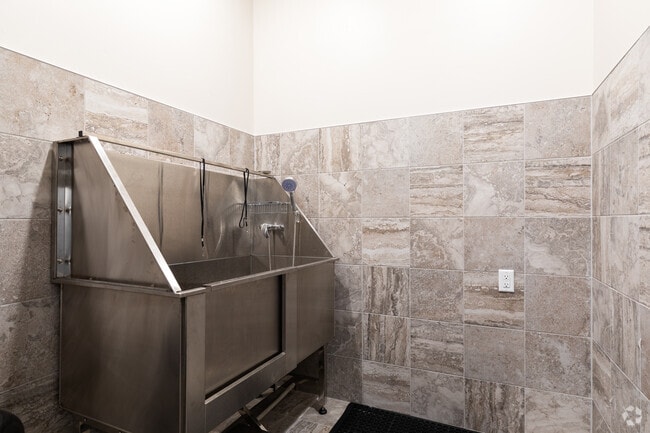 Dog Wash Room