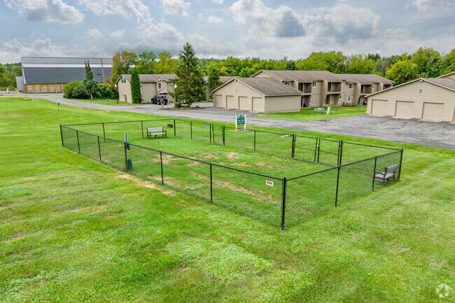 Dog Park