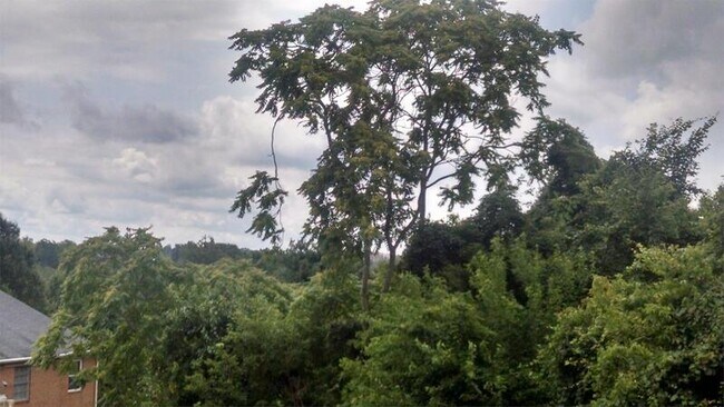 Photo - 3811 Swann Rd Unit 203