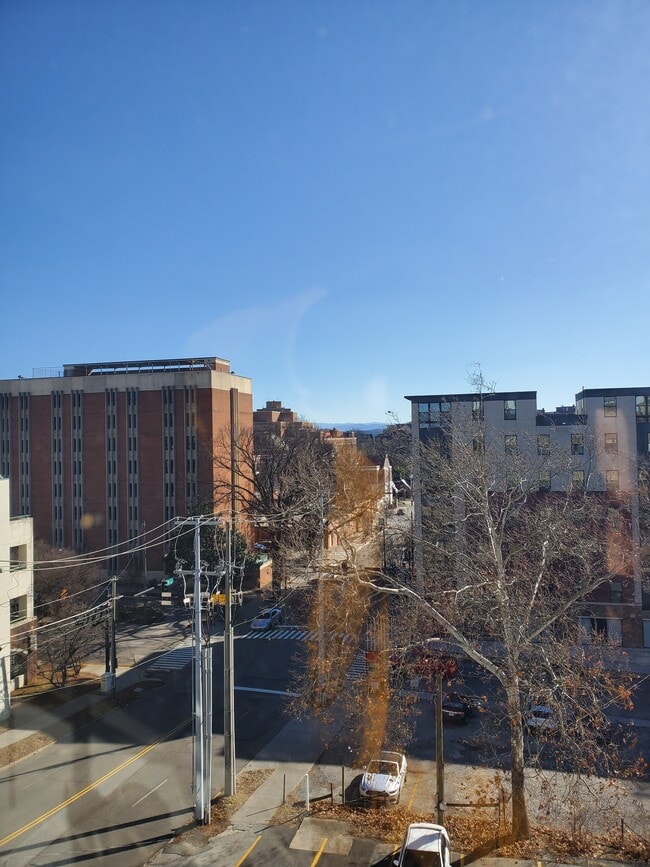 Photo - 1700 Clinch Ave Unidad University Towers #303 Rental
