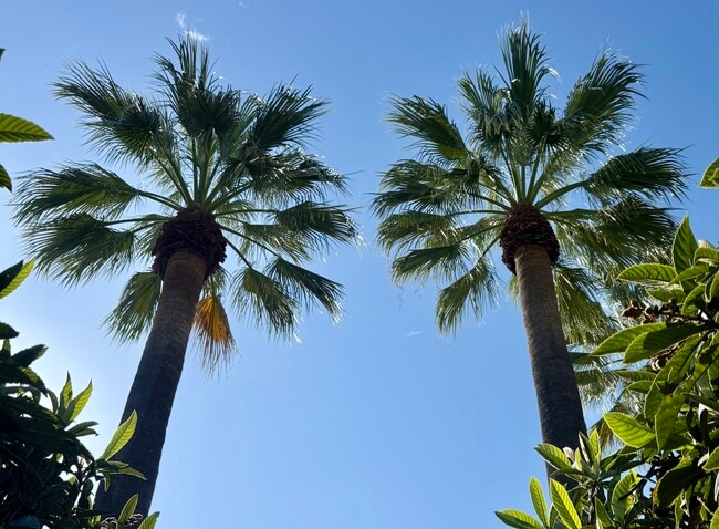 Photo - Country Club Villas