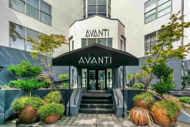 Avanti - Avanti