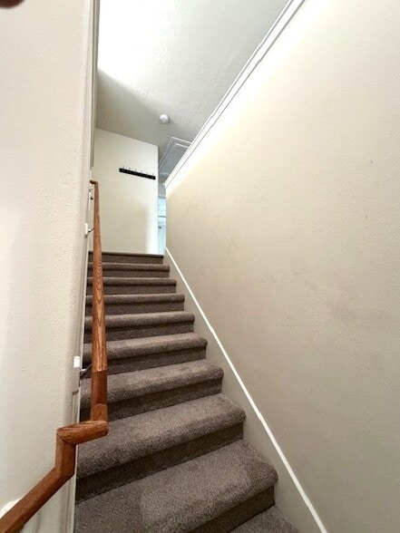 Photo - 71 E Stedhill Loop