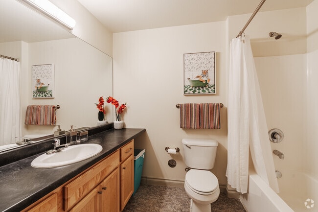 1BR, 1BA - 600SF - Bathroom