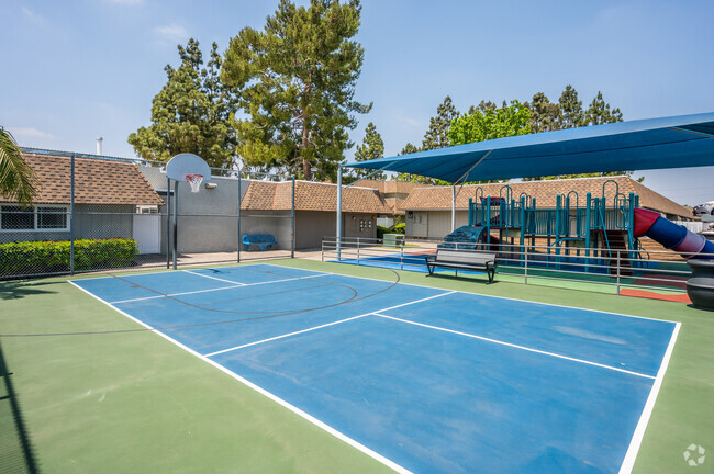 Basketball Court