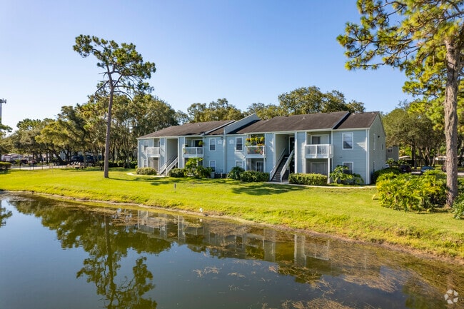 202 Windwood Oaks Dr Tampa, FL, 33613