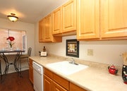Plentiful Cabinet/Counter Space