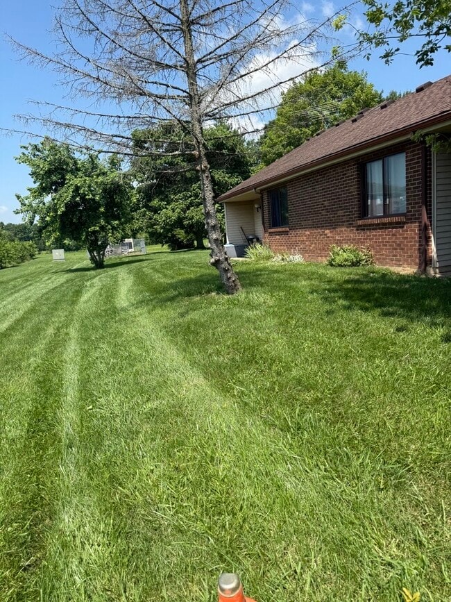 Photo - Baltimore Manor