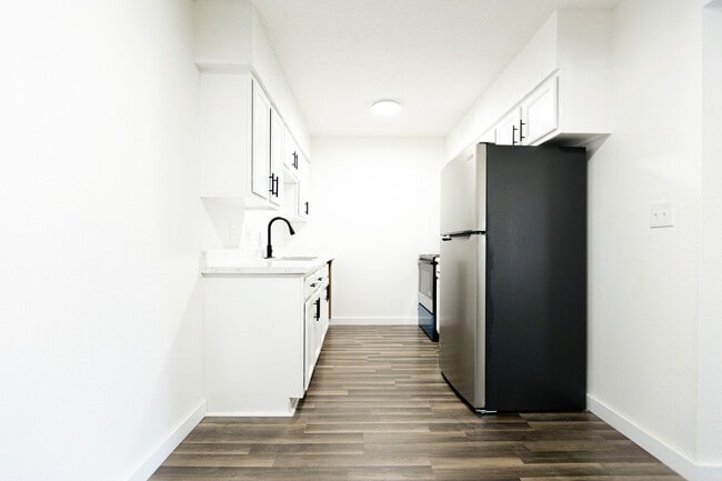 Photo - Adar at Golden Gate