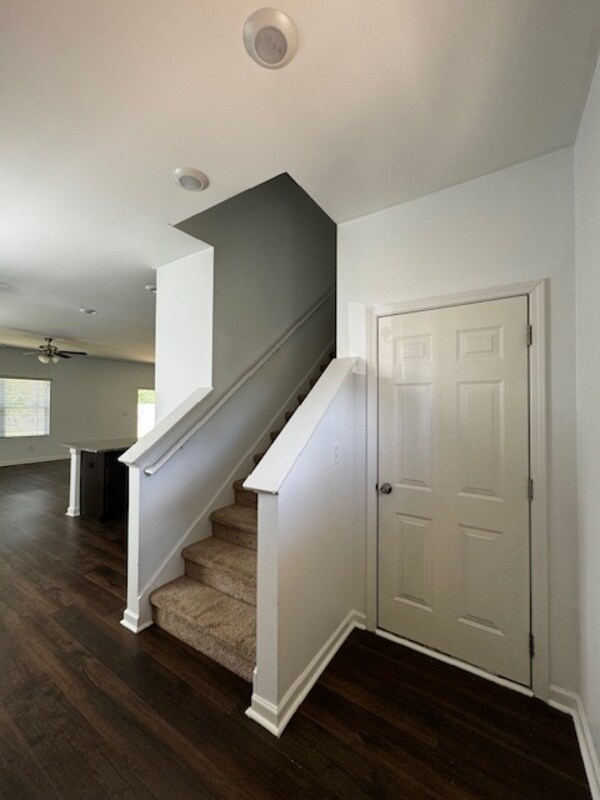 Photo - 240 Chelsea Park Rd