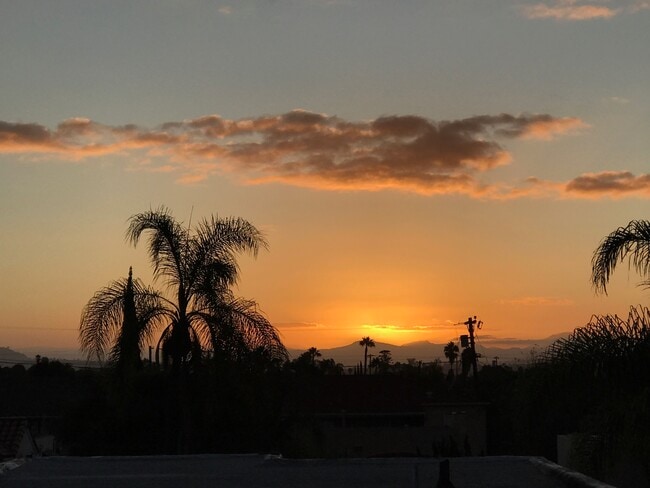 Sunset views are fab - 3422 33rd St