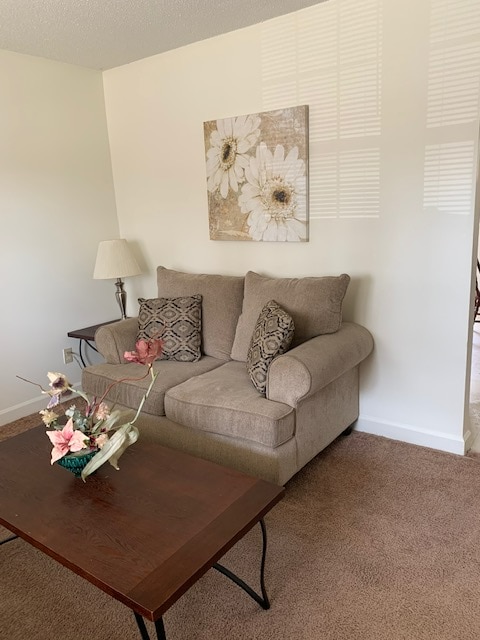 Photo - 369 Crabapple Cir Unit 96