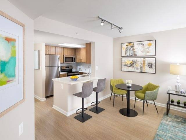 Newly Renovated With Quartz Counter Tops, Wood-Style Flooring and Stainless Steel Appliances
