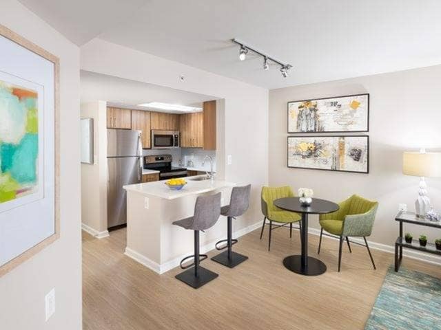 Newly Renovated With Quartz Counter Tops, Wood-Style Flooring and Stainless Steel Appliances - Meridian at Gallery Place