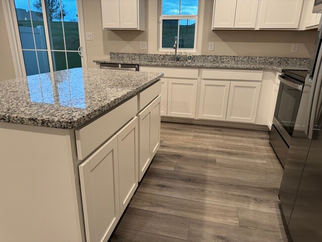 Photo - 1100 Aubrey Mdws Pl