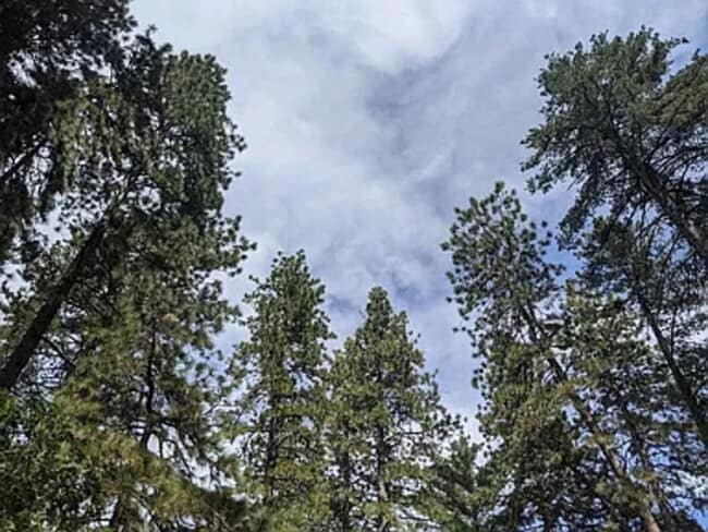 Photo - 358 Alpine Dr Casa