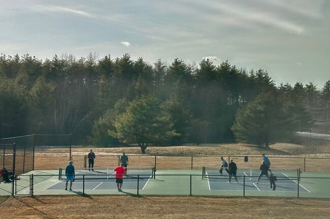 Pickleball Court