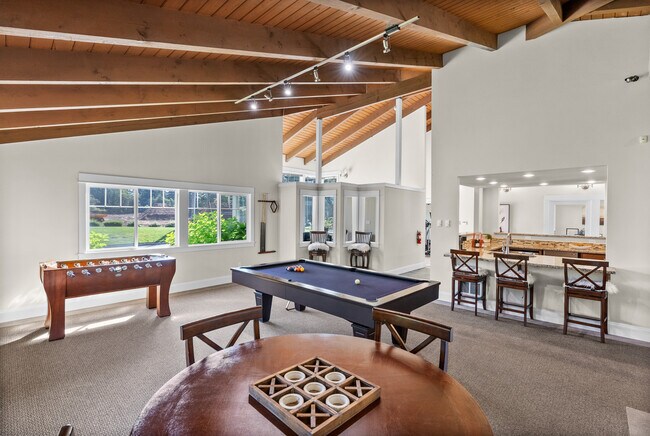 Community Game Area