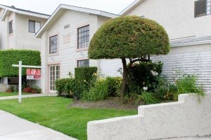 Grevillea Manor - Grevillea Manor