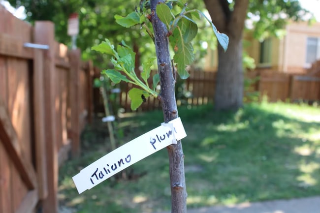 Photo - 1531 Willow St