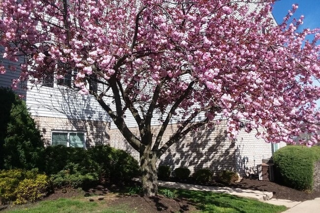 Photo - Society Hill