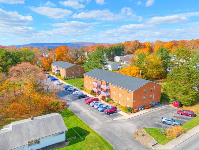 Photo - 1711 Apartments