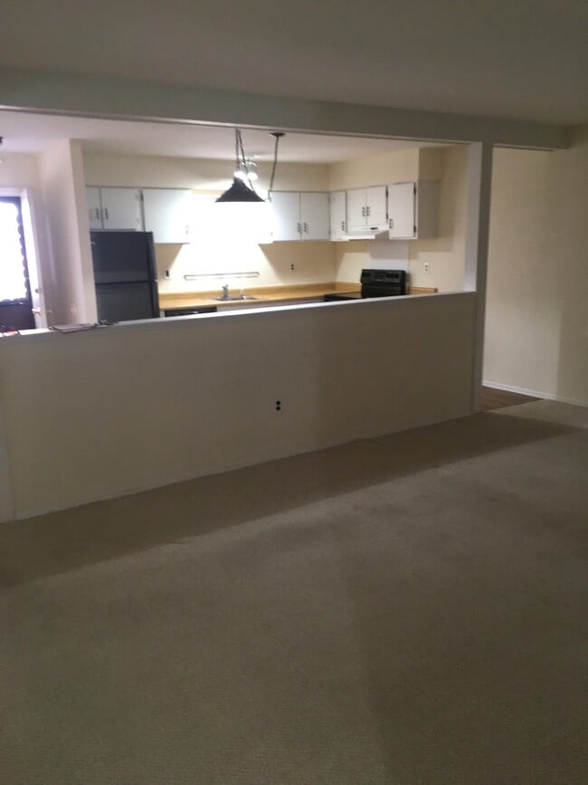 livingroom - 211 Meadow Woods Ln Unit 211