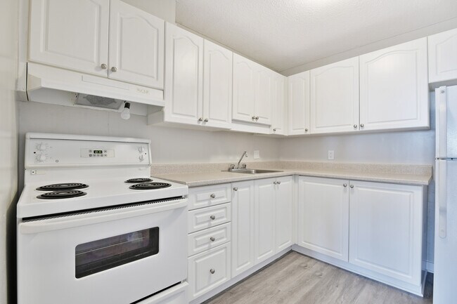 Photo - The Aventura