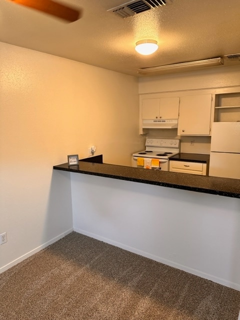1Bedroom Kitchen