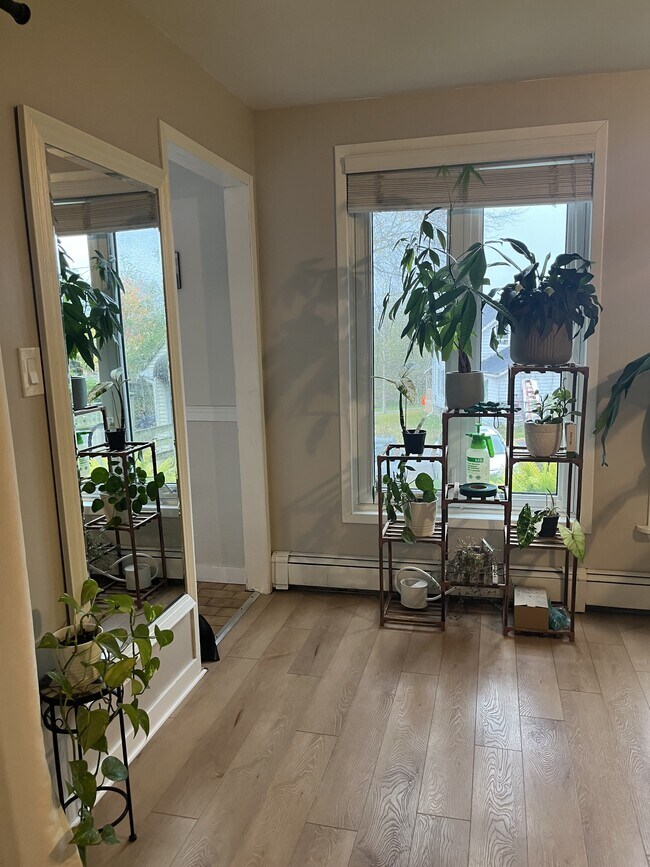 Photo - 21 Harris St